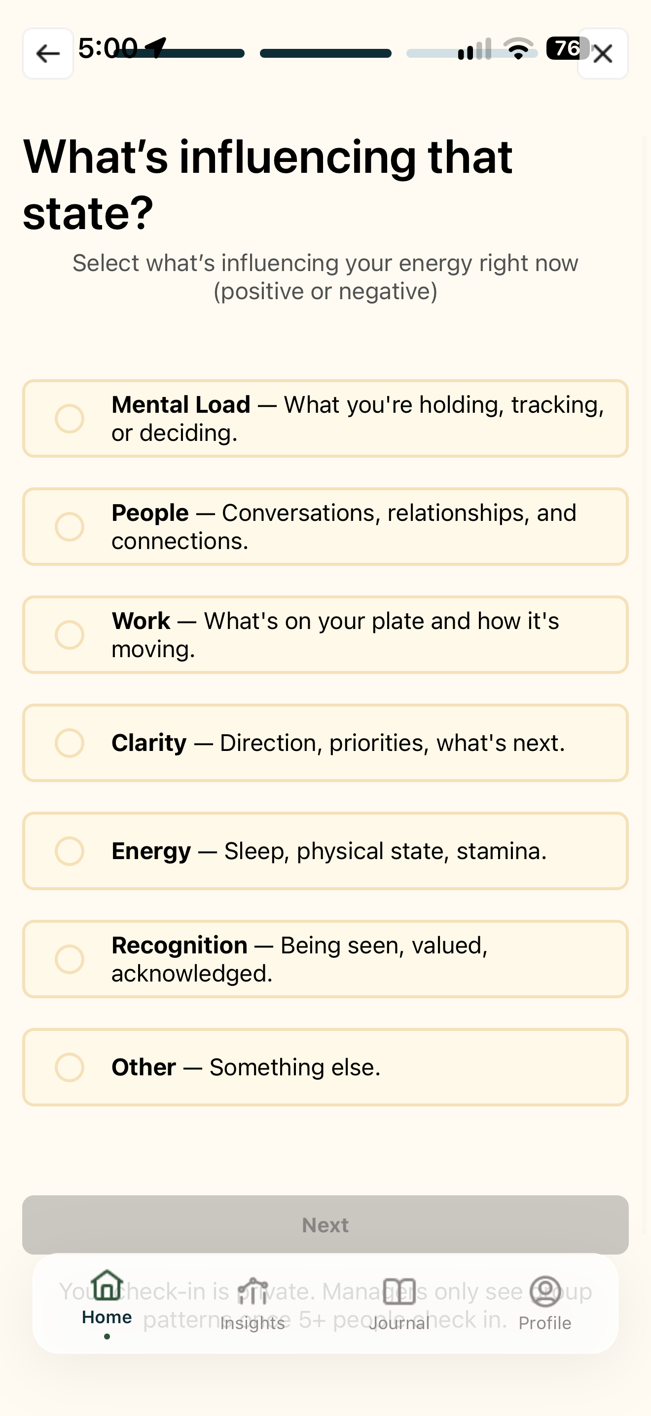 Paulo cause selection showing Mental Load, People, Work, Clarity, Energy, Recognition, and Other.